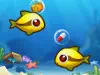 Fish Resort Fish Resort