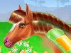 Horse Care and Riding Horse Care and Riding