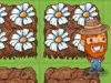 My Little Farm My Little Farm