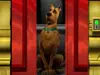 Scooby Doo 7 Scooby Doo 7