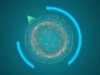 Vortex Vortex