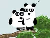 3 Pandas In Japan