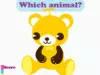 Animals & Colors