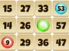 Bingo