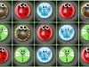 Bug Match 4