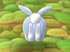 Bunny Run