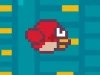 Chubby birds