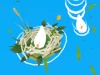 Ducklings.io
