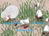 Farm Frenzy