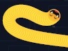 Happy Snakes