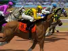 Horse Racing