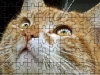Jigsaw Puzzle