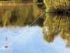 Let's Fish