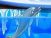 My Dolphin Show 8