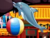 My Dolphin Show 9