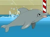 My Dolphin Show