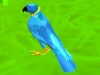 Parrot Simulator