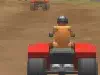 Quad rally