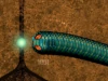 Real Snakes.io