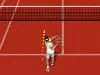 Real Tennis Game