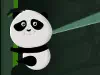 Rolling Panda
