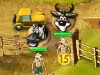 Safari