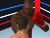 Super Boxing Fight Night