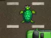 Turtle Rescue