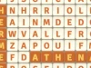 Word Hunter