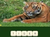 Zoo Trivia